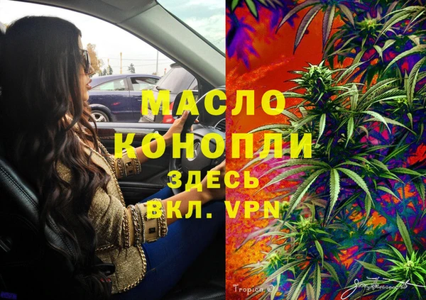 хмурый Белокуриха