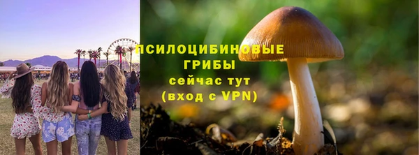 гашиш Богданович