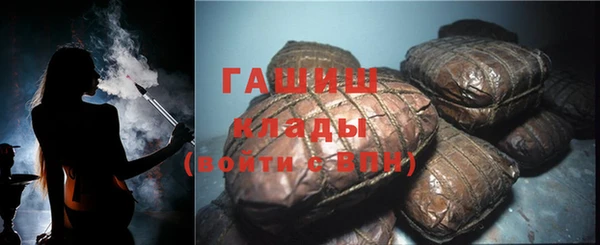 хмурый Белокуриха