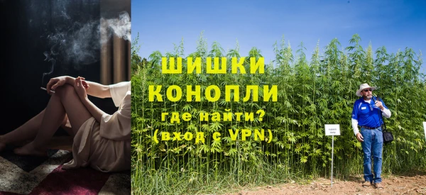 хмурый Белокуриха