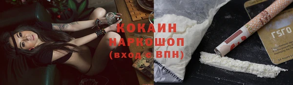гашиш Богданович