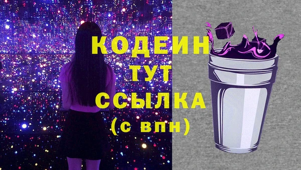 хмурый Белокуриха