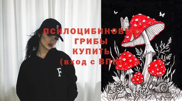 хмурый Белоозёрский