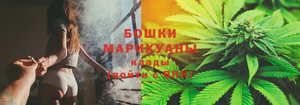 хмурый Белокуриха